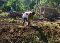 Jembatan Gantung Perintis Garuda Permudah Petani