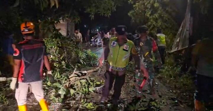 Polres Batang Bersama Koramil, BPBD Evakuasi Pohon Tumbang di Jalan Raya Cepagan