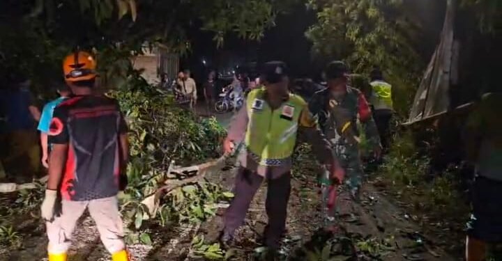 Polres Batang Bersama Koramil, BPBD Evakuasi Pohon Tumbang di Jalan Raya Cepagan