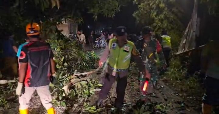 Polres Batang Bersama Koramil, BPBD Evakuasi Pohon Tumbang di Jalan Raya Cepagan
