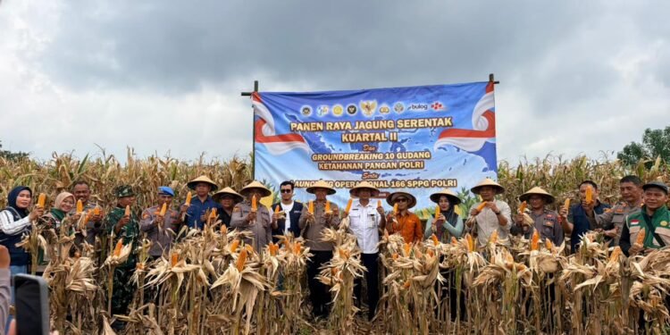 Polres Batang dan Forkopimcam Tulis Bersinergi Dukung Swasembada Pangan 2026