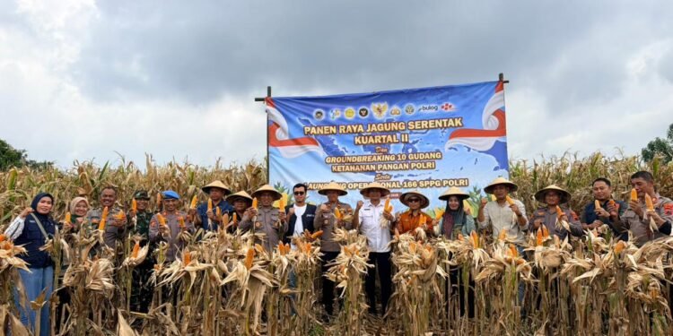 Polres Batang dan Forkopimcam Tulis Bersinergi Dukung Swasembada Pangan 2026