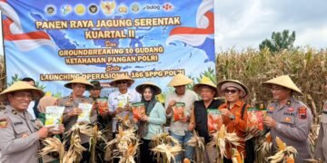 Panen Raya Jagung, Polres Batang Dukung Swasembada Pangan Nasional