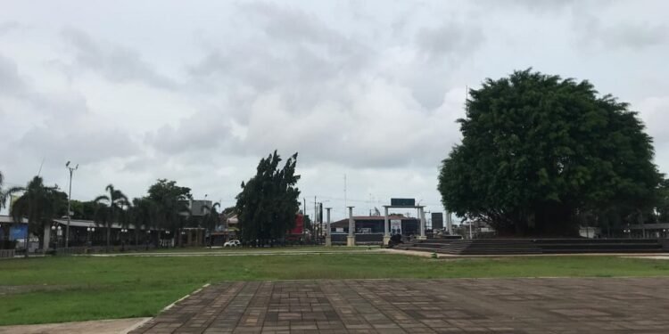 Prioritaskan Keseimbangan Ekosistem Kota, Bupati Batang Fokuskan Anggaran untuk Pemeliharaan RTH