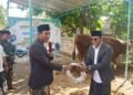 Wabup Batang Serahkan Sapi Kurban Banpres Presiden Prabowo di Gringsing