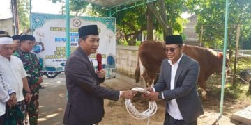 Wabup Batang Serahkan Sapi Kurban Banpres Presiden Prabowo di Gringsing