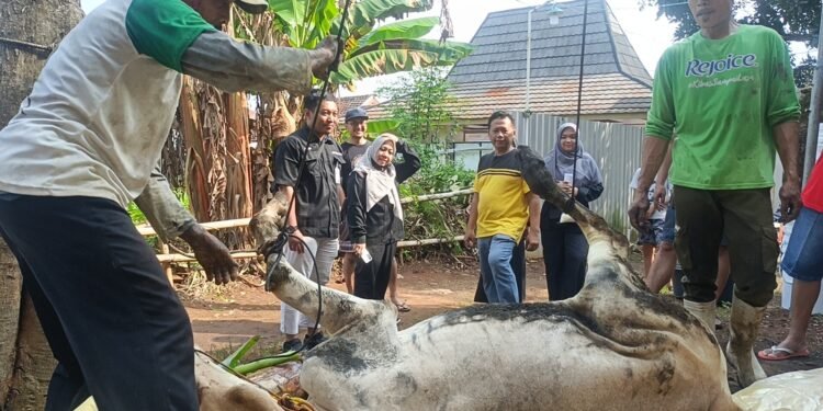 Waspada Cacing Hati, Dispaperta Batang Sidak Penyembelihan Hewan Kurban