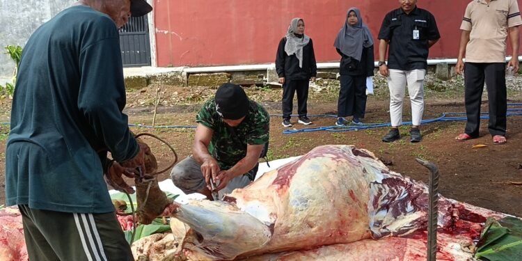 Waspada Cacing Hati, Dispaperta Batang Sidak Penyembelihan Hewan Kurban