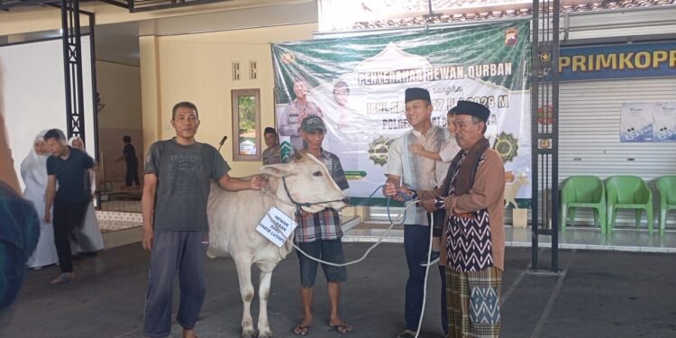 Semangat Iduladha, Polres Pekalongan Kota Berbagi Hewan Kurban kepada YBPI dan 15 Lembaga Sosial