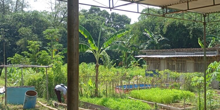 YSAI Pekalongan: Kurban Bukan Sekadar Menyembelih Hewan, tetapi Menyembelih Sifat Kehewanan