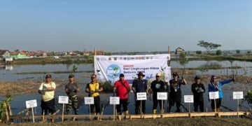 Dukung Hari Lingkungan Hidup 2026, BPI Siapkan 30.000 Bibit Mangrove untuk Pesisir Batang