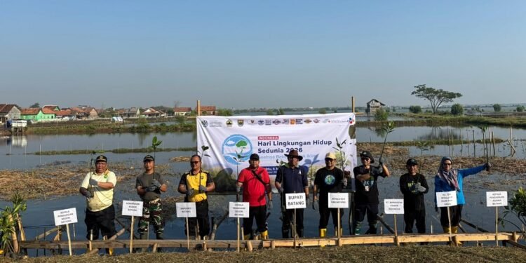 Dukung Hari Lingkungan Hidup 2026, BPI Siapkan 30.000 Bibit Mangrove untuk Pesisir Batang
