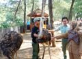 Bupati Batang Rekomendasikan Wisata Lokal Selama Libur Sekolah, Beach Safari dan Curug Genting Jadi Andalan