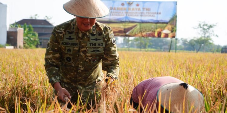 Pangdam IV/Diponegoro Dukung Panen Raya TNI, Perkuat Ketahanan Pangan Nasional