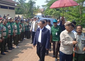 Menyisir Kebun Bibit Batang, Mentan Amran Bawa Misi Bagi-Bagi Bibit Gratis 