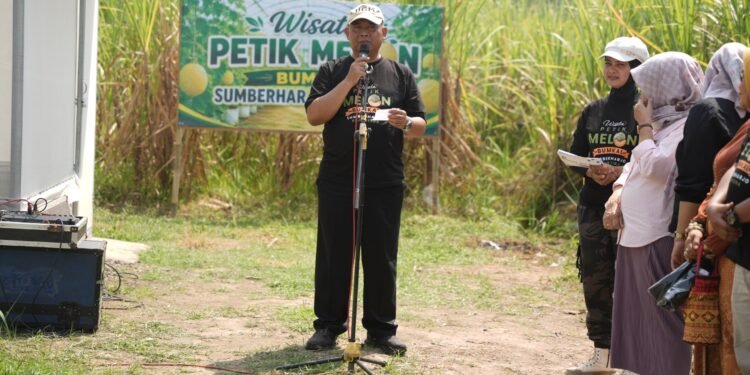 Bupati Sleman Apresiasi Panen Perdana Melon Premium Bumkal Sumberharjo
