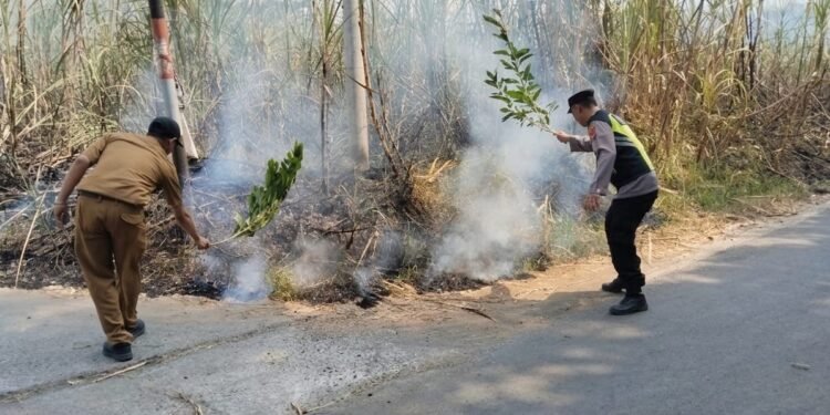 Respon Cepat Kebakaran Lahan Tebu di Gringsing, Polisi dan Warga Bahu-membahu Padamkan Api