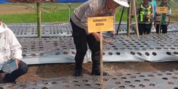 Tak Hanya Jaga Kamtibmas, Polresta Batang Ikut Dorong Swasembada Bawang Putih