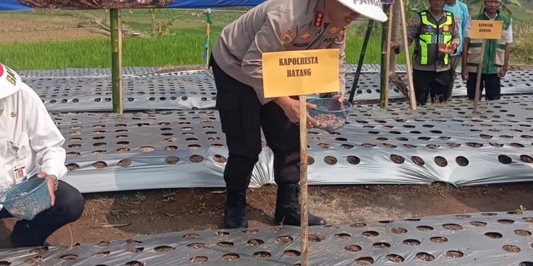 Tak Hanya Jaga Kamtibmas, Polresta Batang Ikut Dorong Swasembada Bawang Putih