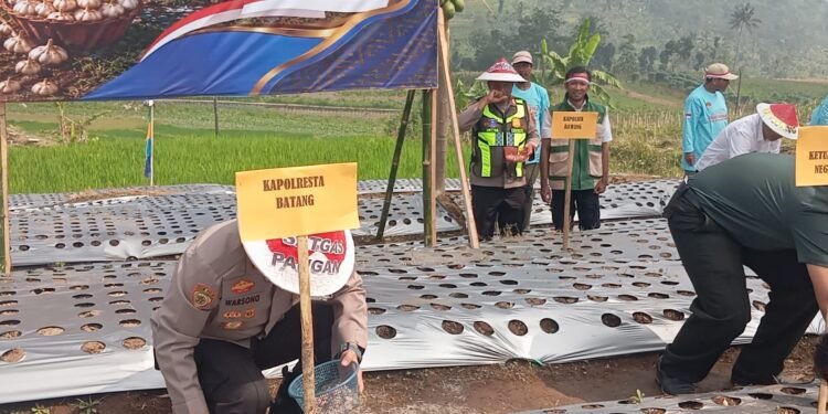 Tak Hanya Jaga Kamtibmas, Polresta Batang Ikut Dorong Swasembada Bawang Putih