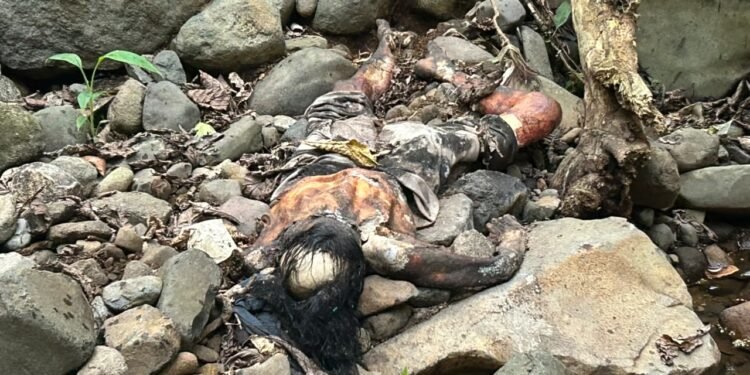 Penemuan Mayat Tinggal Tengkorak di Sungai Genting Batang, Polisi Selidiki Identitas Korban