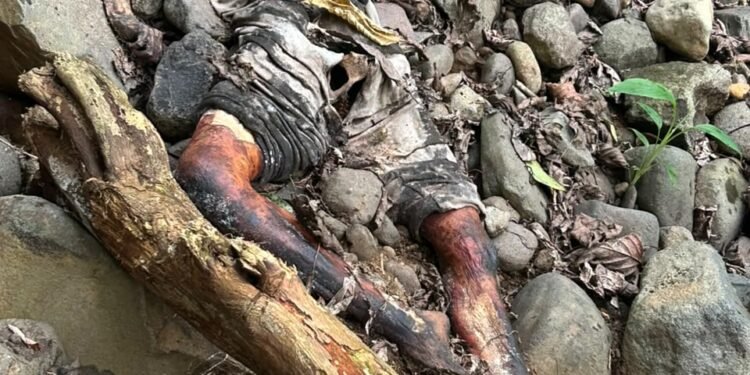 Penemuan Mayat Tinggal Tengkorak di Sungai Genting Batang, Polisi Selidiki Identitas Korban