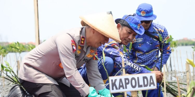Polda Jateng dan Pemkab Batang Tanam Mangrove, Perkuat Green Policing Hadapi Ancaman Rob