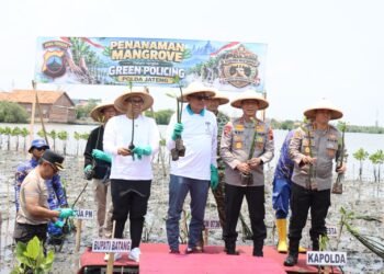 Polda Jateng dan Pemkab Batang Tanam Mangrove, Perkuat Green Policing Hadapi Ancaman Rob